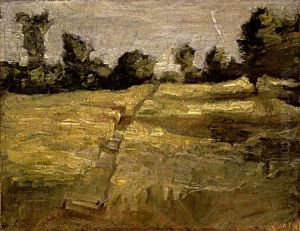 The Field by unknown