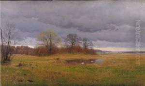 Forarslandskab med regnbyger. Sydsjaelland by Hans Friis