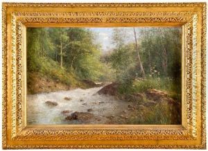 Torrente Nel Bosco by Robaldo Casalini Baldelli