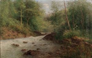 Torrente Nel Bosco by Robaldo Casalini Baldelli