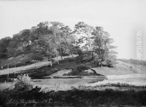 Wooded Hills at Sorupvang - view 1