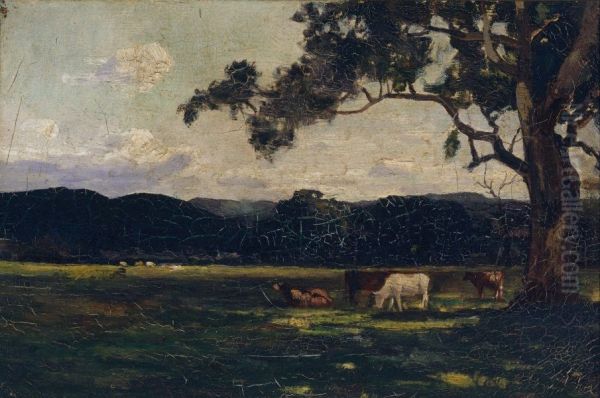 Pastures, Bacchus Marsh - view 1