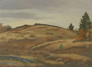 Autumn Fields