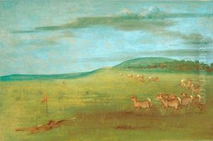 Antelope Shooting, Decoyed Up by George Catlin