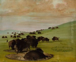 Buffalo Bulls in a Wallow by George Catlin