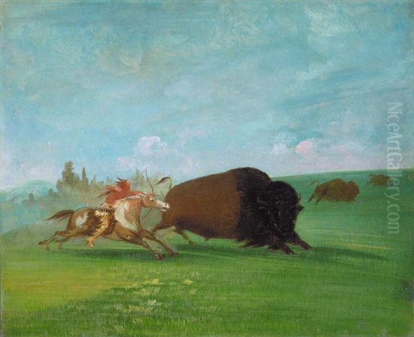 Buffalo Chase, a Single Death - view 1