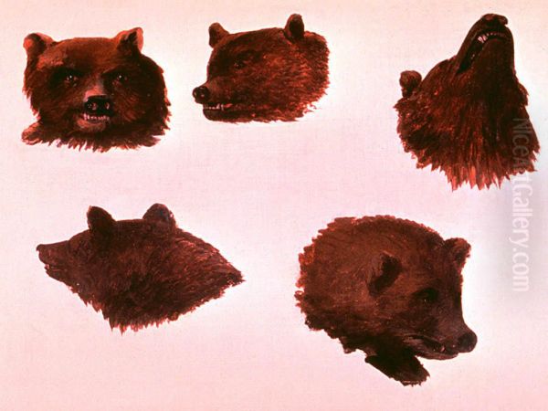 Portraits of Two Grizzly Bears, From Life - view 1