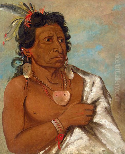 U'sh-ee-kitz, He Who Fights with a Feather, Chief of the Tribe - view 1