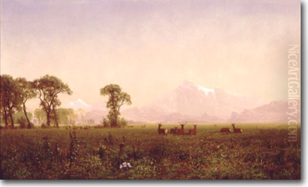 Elk Grazing in the Wind River Country - view 1