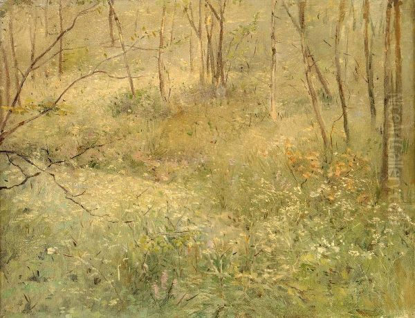 Wild Parsley - view 1