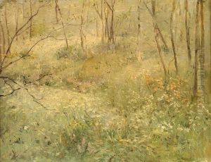 Wild Parsley