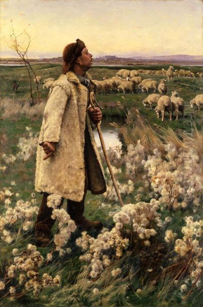 Shepherd - view 1
