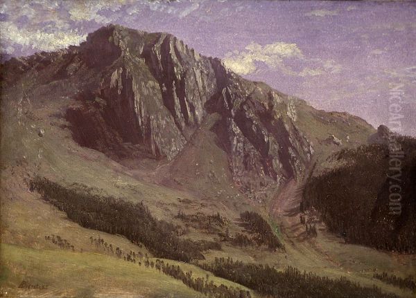 Mountains - view 1
