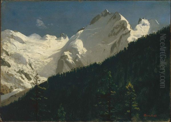 Piz Bernina,Switzerland - view 1