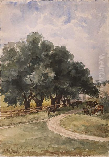 Richmond - view 1