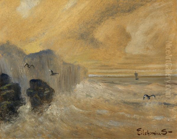 Rocky Seashore - view 1