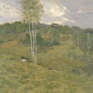 Birch-Clad Hills
