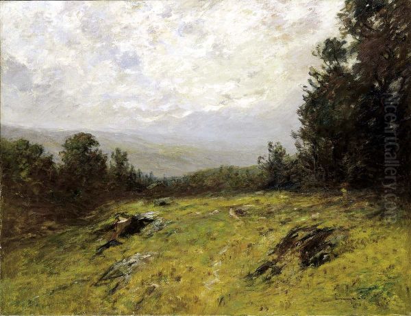 Hillside - view 1