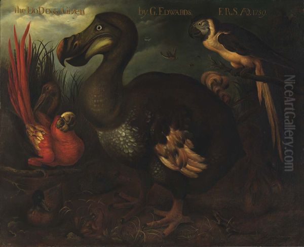 The Dodo and Given - view 1