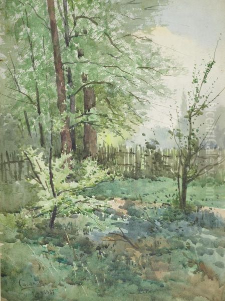 Paisagem - view 1