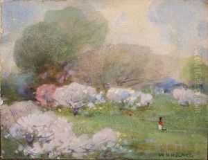 Cherry Blossoms by William Henry Holmes