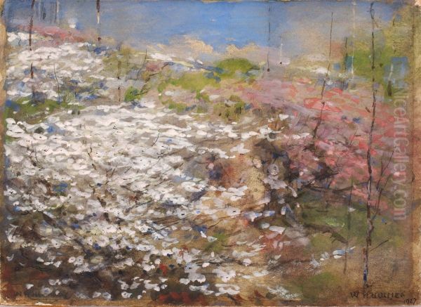 Field of Blossoms - view 1