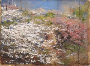 Field of Blossoms Field of Blossoms