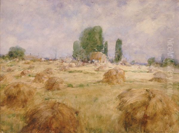 Field of Wheat Shock - view 1