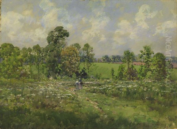 Flowery Meadow - view 1