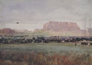 In the Plateau Country, Colorado