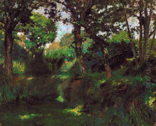 Wooded Landscape - view 1
