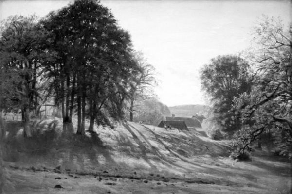 Et skovbryn - view 1