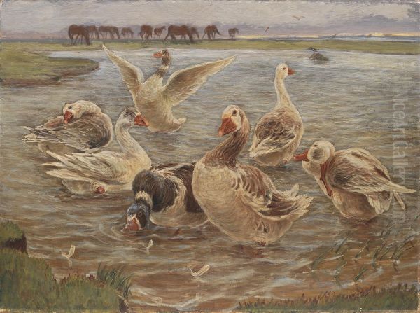 Geese on the Island of Saltholm - view 1