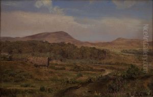Landscape near Blokhus, Jutland Landscape near Blokhus, Jutland