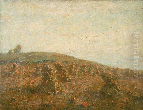 The Cornfield - view 1