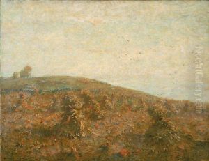 The Cornfield