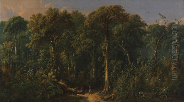 Javanese Jungle - view 1
