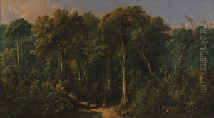 Javanese Jungle Javanese Jungle