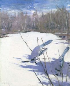 Blue Jays in Winter, study for book Concealing Coloration in the Animal Kingdom by Abbott Handerson Thayer