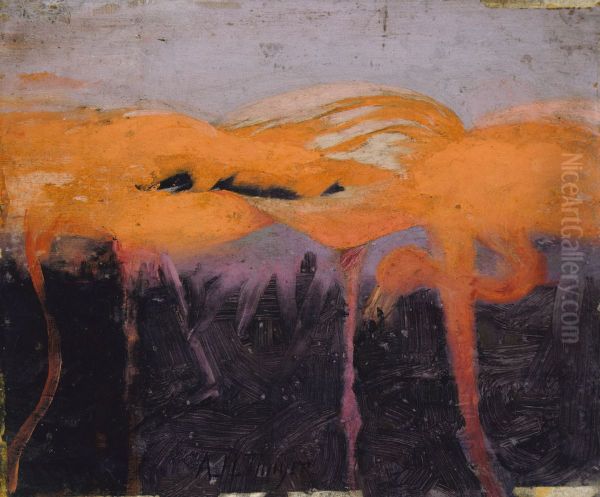 Red Flamingoes, study for book Concealing Coloration in the Animal Kingdom - view 1