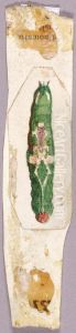 White Birch Leaf Edge Caterpillar, study for book Concealing Coloration in the Animal Kingdom by Abbott Handerson Thayer
