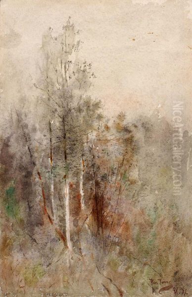 A Tree Study - view 1