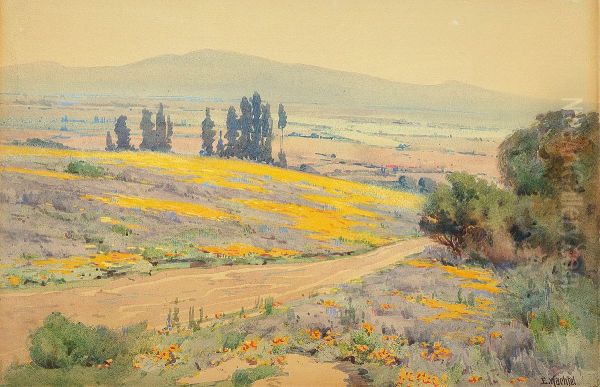 California Spring Landscape - view 1
