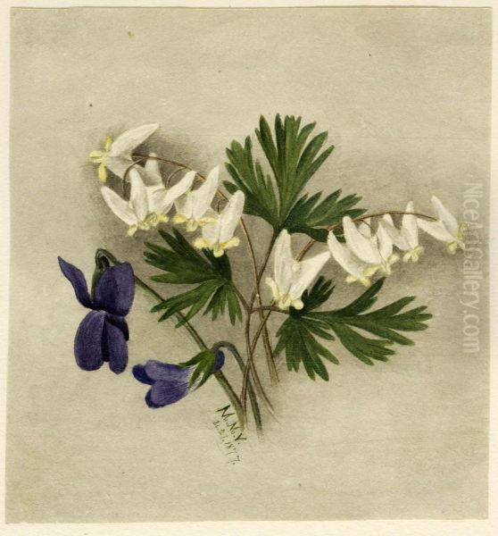 Dutchman's Breeches (Bikukulla cucullaria) - view 1