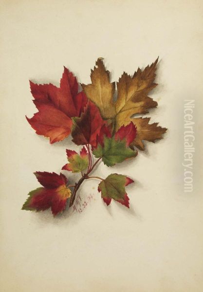 Untitled (Autumn Leaves) - view 1
