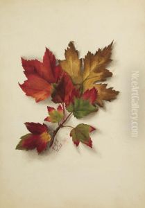 Untitled (Autumn Leaves) by Mary Vaux Walcott