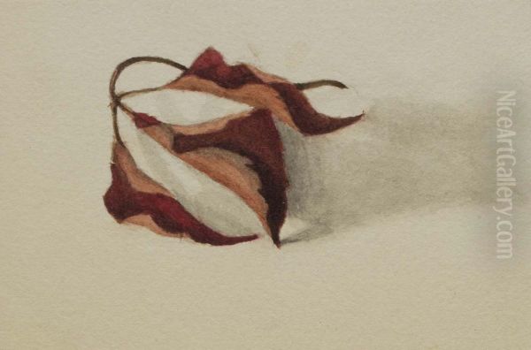 Untitled (Curled Autumn Leaves) - view 1