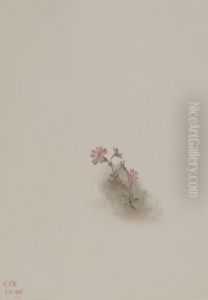 Untitled--Plant Study by Mary Vaux Walcott
