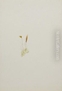 (Untitled--Flower Study) 1970.355.744_1 by Mary Vaux Walcott