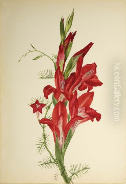 Cannas and Cypress Vine (Canna species and Ipomoea quamoclit) - view 1